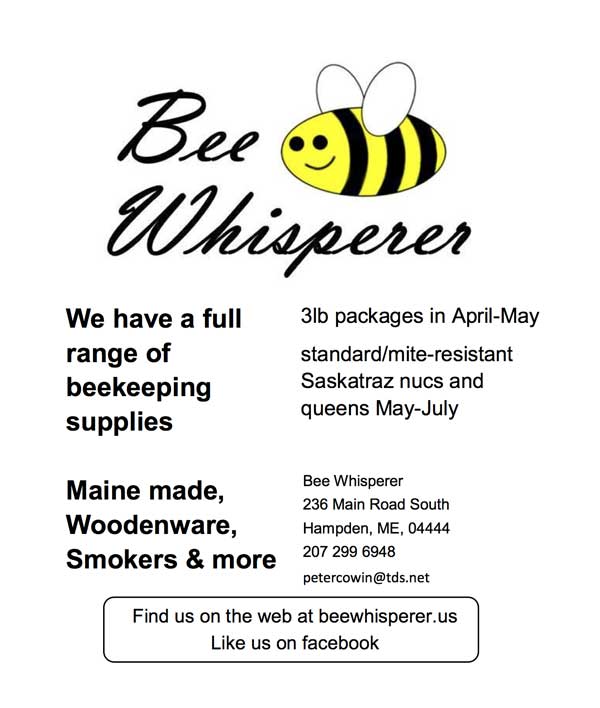 Bee Whisperer Maine