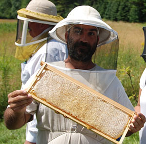 Confessions of a Newbie Beekeeper – Oakland County Blog
