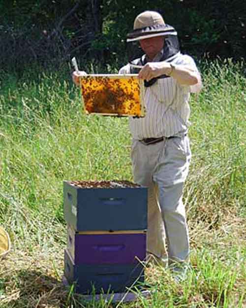 Larry Peiffer EAS Master Beekeeper