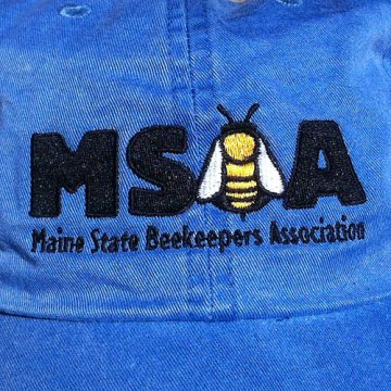 MSBA ball cap