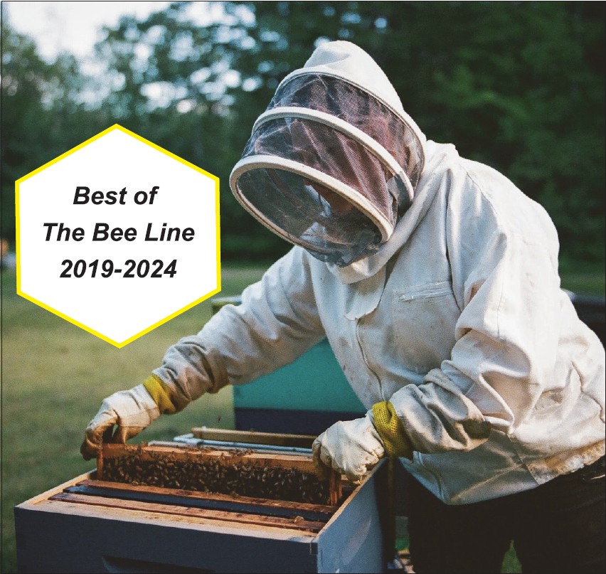 A beekeeper is inspecting a hive, the text reads: Best of the Bee Line 2019-2024