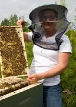 Erin Evans displaying a frame of bees
