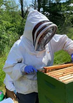 State Apiarist Jen Lund inspecting a hive